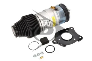 Tesla S model hátsó légrugó DUNLOP