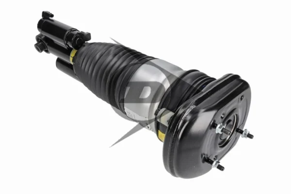 BMW 5 G30,G31, 6 GT G32 Hátsó légrugó ADAPTÍV - DUNLOP