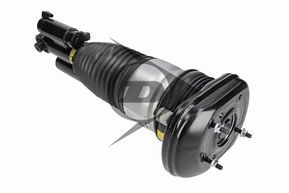 BMW 5 G30,G31, 6 GT G32 Hátsó légrugó ADAPTÍV - DUNLOP